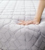 Nor Dual Comfort 8 inch HR Foam Single Mattress in Grey Colour