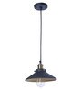 Ackton Nora Black Metal Hanging Light