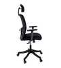 Nora High Back Ergonomic Chair In Black Colour