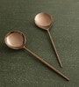 Norah Rose Brown Stainless Steel (Set of 2) Serving Spoon