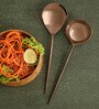 Norah Rose Brown Stainless Steel (Set of 2) Serving Spoon