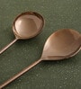 Norah Rose Brown Stainless Steel (Set of 2) Serving Spoon