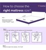 Nouveau Orthopedic Memory Foam & HR Foam 8 Inch Queen Size Mattress