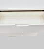 Nova 2 Door Shoe Cabinet in White Colour