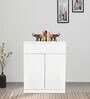 Nova 2 Door Shoe Cabinet in White Colour