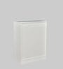 Nova 2 Door Shoe Cabinet in White Colour