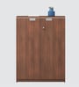 Nova 2 Door File Cabinet In Walnut Finish With Lock