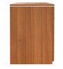 Nova Filling Cabinet in Walnut Regato Colour