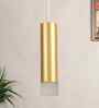 Nova Gold Iron Hanging Light | Inbuilt LED | without Bulb | Eliante