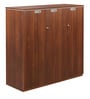 Nova Cabinet in Walnut Regato Colour