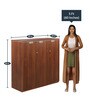 Nova Cabinet in Walnut Regato Colour