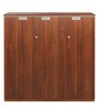 Nova Cabinet in Walnut Regato Colour
