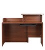 Nova Office Table in Walnut Regato Colour