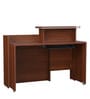Nova Office Table in Walnut Regato Colour