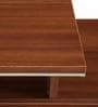 Nova Office Table in Walnut Regato Colour