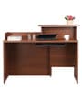 Nova Office Table in Walnut Regato Colour