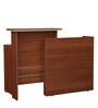 Nova Office Table in Walnut Regato Colour