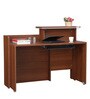 Nova Office Table in Walnut Regato Colour