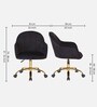 Novas Guest Chair In Black Velvet  Finish