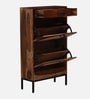 Novaska Sheesham Wood Shoe Cabinet in Rustic Teak Finish