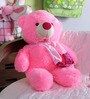 Novel Pink Fur 21 x 1 x 3 Inch Teddy Bear With Scarf