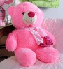 Novel Pink Fur 21 x 1 x 3 Inch Teddy Bear With Scarf