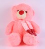 Novel Pink Fur 21 x 1 x 3 Inch Teddy Bear With Scarf