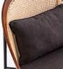 Novena Lounge Chair In Grey Colour Novena Lounge Chair In Grey Colour