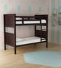 Novitta Bunk Bed in Cappuccino Colour