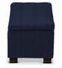 Mexico Bench With Storage In Royal Blue Colour