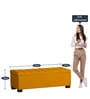 Mexico Fabric Bench In Bold Yellow Colour With Storage