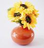 Nowich Orange Iron Vase