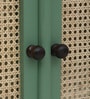 Noyes Solid Wood Cabinet In Olive Green Colour