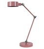 Nr. Matte Pink Study Lamp