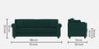 Numonk Velvet 3 Seater Sofa in Amazon Green Colour