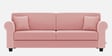 Numonk Velvet 3 Seater Sofa in Millennial Pink Colour