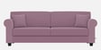 Numonk 3 Seater Sofa In Puce Pink Colour