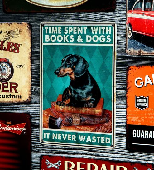 Number Plates Big Wall Sign Books And Dogs