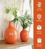 Numero Orange Iron (Pack of 2) Vases