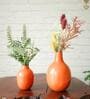 Numero Orange Iron (Pack of 2) Vases