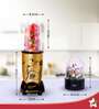 Wonderchef Nutri Blend 500W Mixer Grinder With 3 Jars & Recipe Book