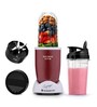 Nutri Blend Activ 500W Mixer Grinder Blender