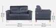 Nyke Leather 2 Seater Sofa in Blue Colour