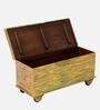 Nyasa Solid Wood Trunk In Multi-Colour Finish