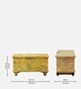 Nyasa Solid Wood Trunk In Multi-Colour Finish