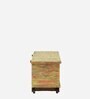Nyasa Solid Wood Trunk In Multi-Colour Finish