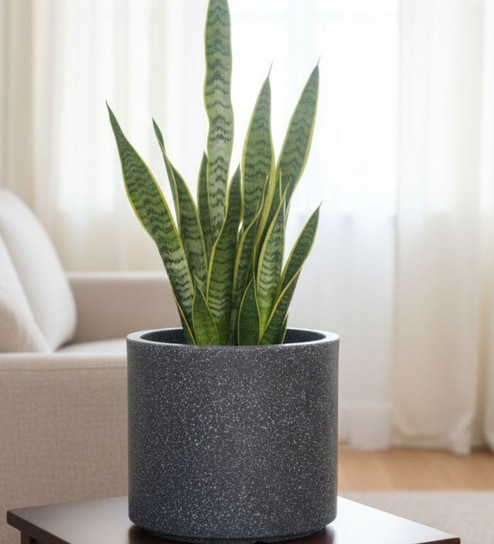Grey Oasis Stone 10 Inch Ribbed Planter Pot