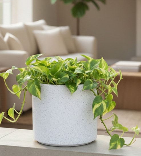 White Oasis Marble 12 Inch Large Ribbed Planter