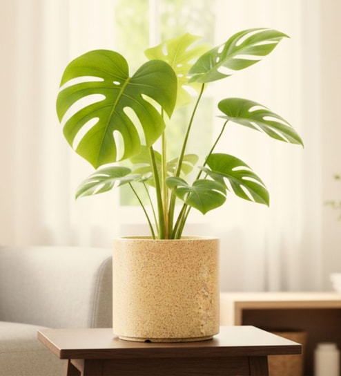 Sand Oasis Stone 10 Inch Ribbed Plastic Planter