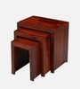 Oakland Nesting Table In Honey Finish